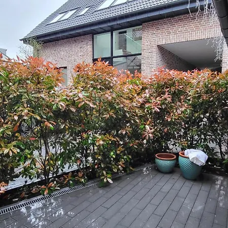 Apartmán Suerder Hof *